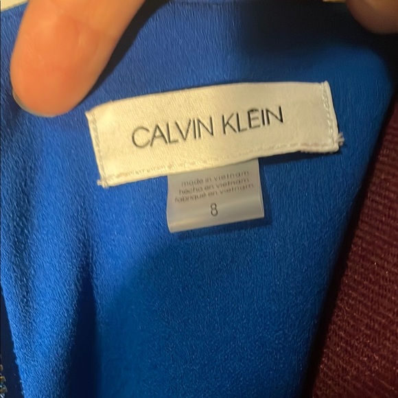 Calvin Klein Blue Ruffle Sleeveless Dress - Picture 9 of 14